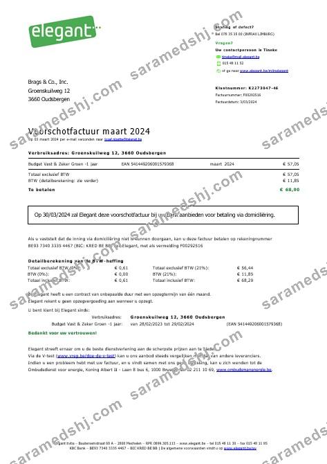Belgium Elegant business utility bill Word and PDF template